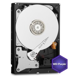 WD Purple Surveillance Hard Drive WD10PURX - Disco duro - 1 TB